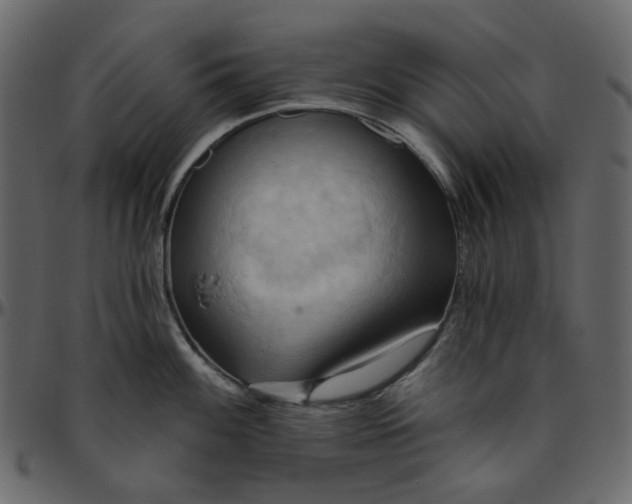 X0000095681100200801221220