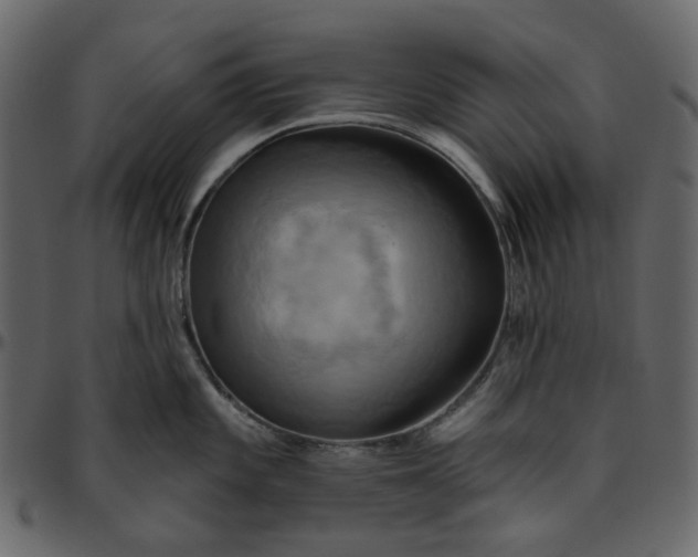 X0000095681101200801221220