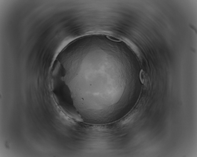 X0000095681102200801221220