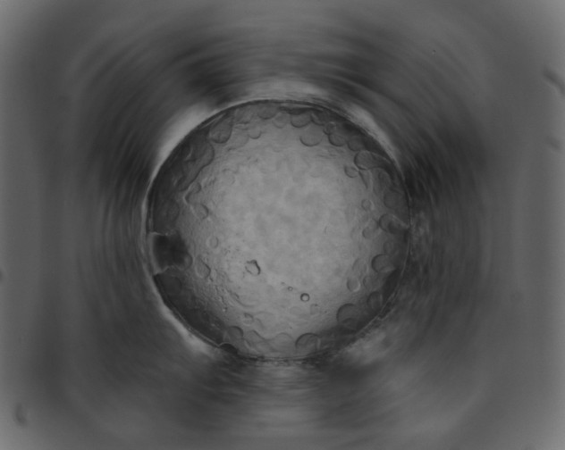 X0000095681103200801221220
