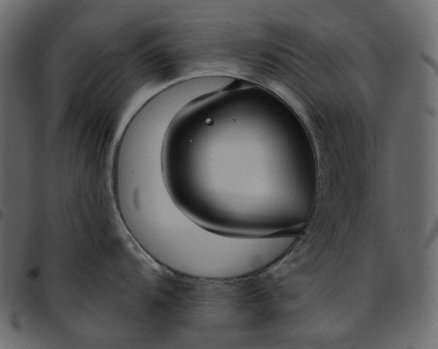X0000095681104200801221220