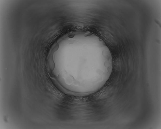 X0000095681105200801221220