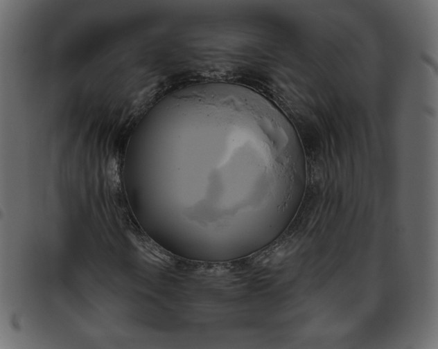 X0000095681106200801221220