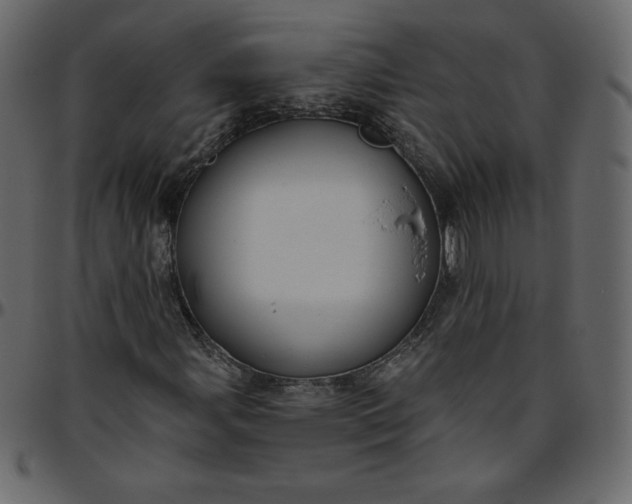 X0000095681107200801221220