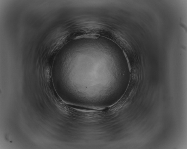 X0000095681108200801221220