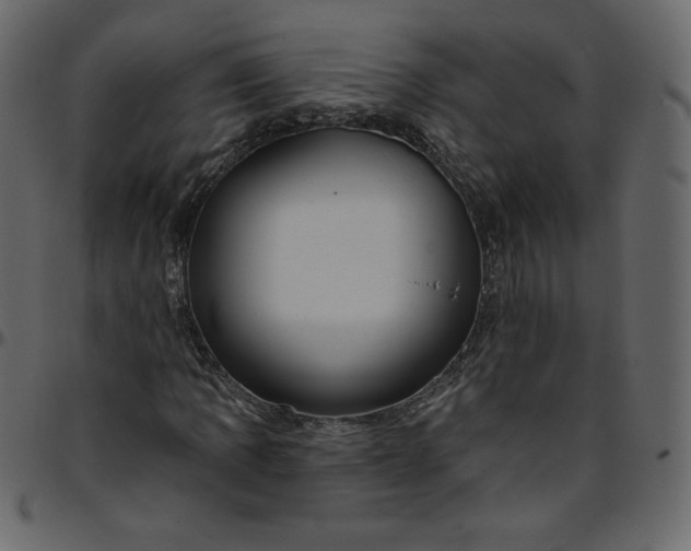 X0000095681109200801221220