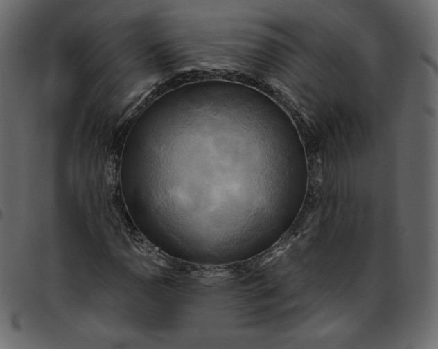 X0000095681110200801221220