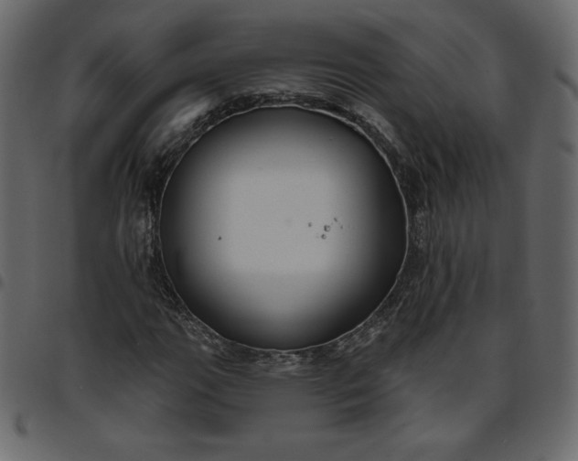 X0000095681111200801221220