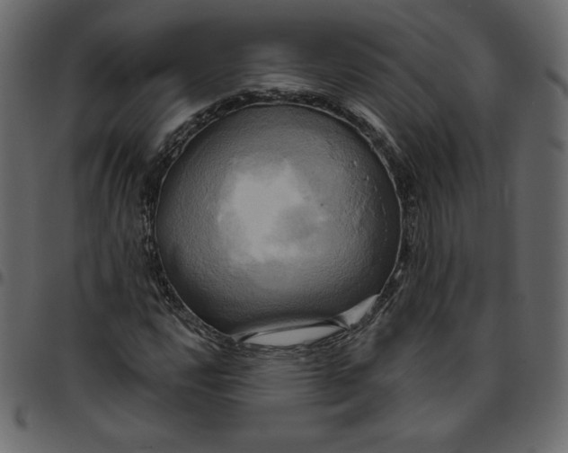 X0000095681112200801221220