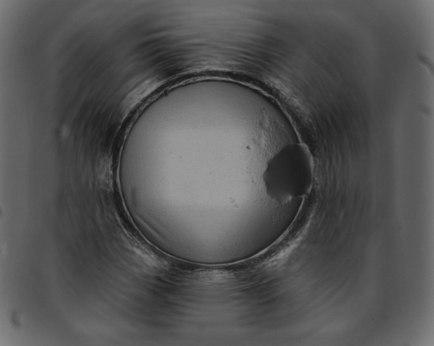 X0000095681113200801221220