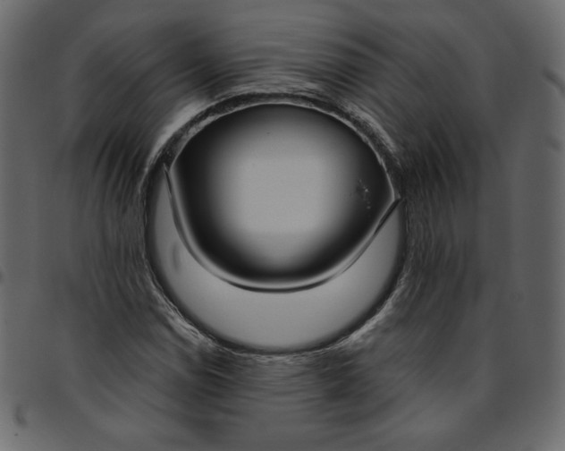 X0000095681114200801221220
