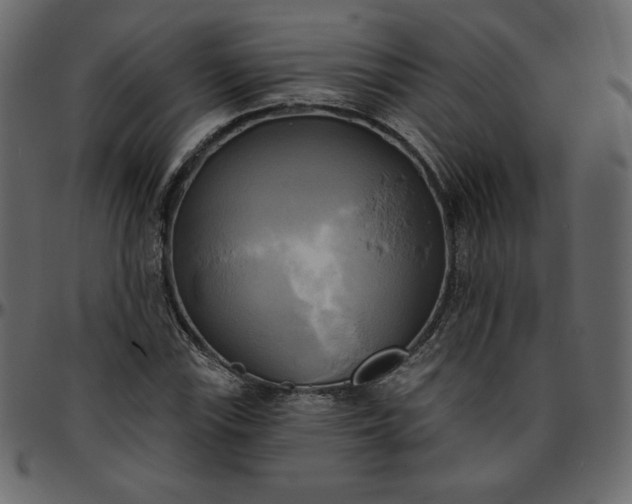 X0000095681115200801221220