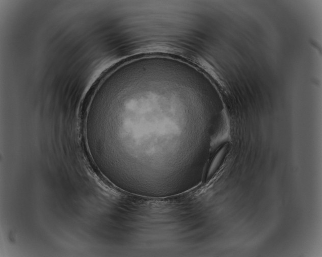 X0000095681116200801221220