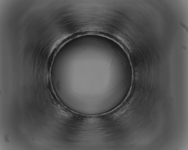 X0000095681117200801221220