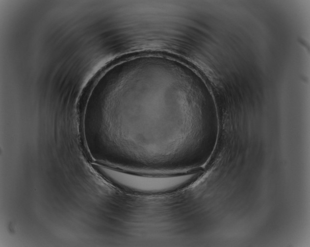 X0000095681118200801221220