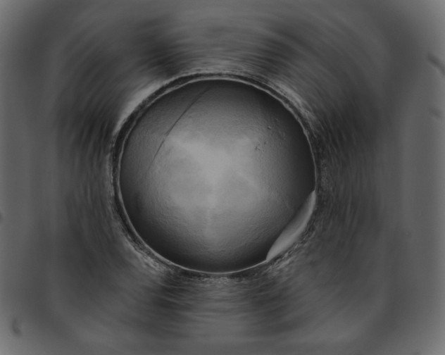 X0000095681120200801221220