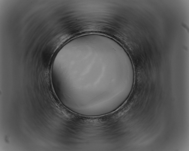 X0000095681121200801221220