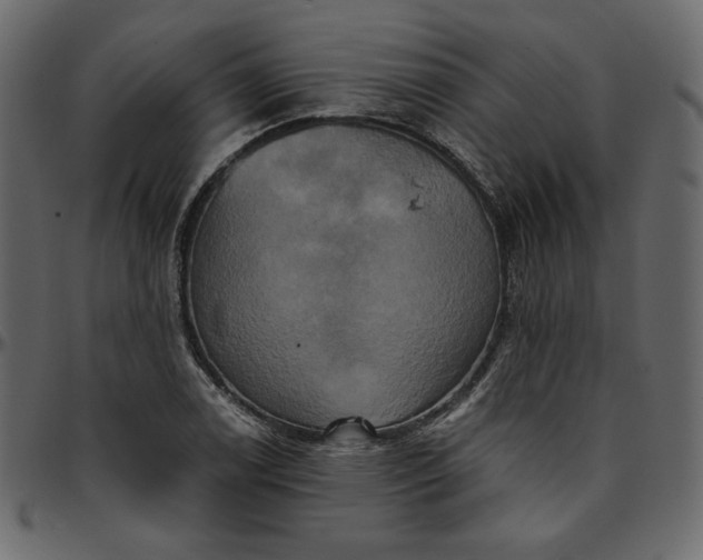 X0000095681122200801221220