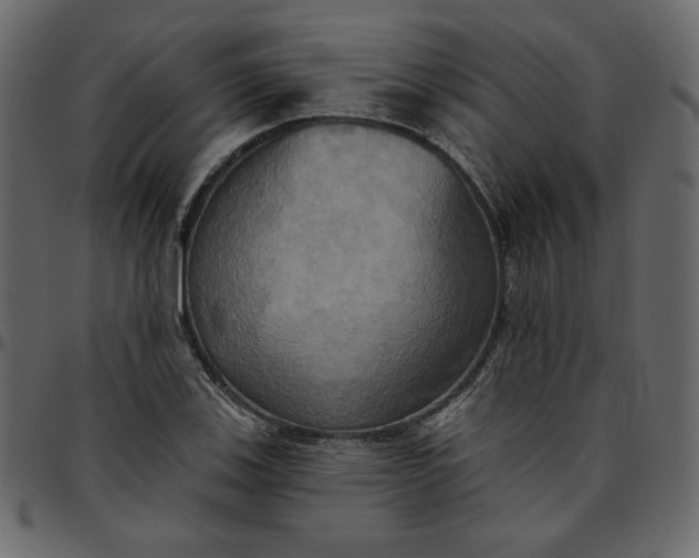 X0000095681123200801221220