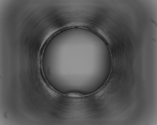 X0000095681124200801221220