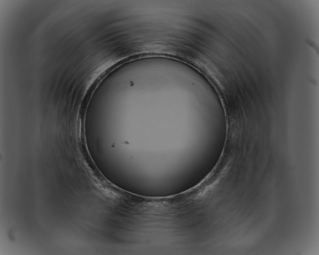 X0000095681125200801221220