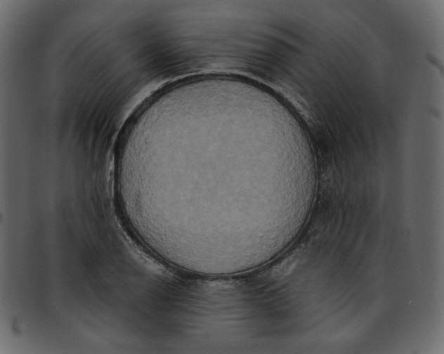 X0000095681126200801221220