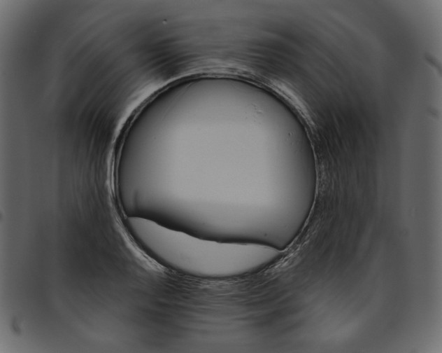 X0000095681128200801221220
