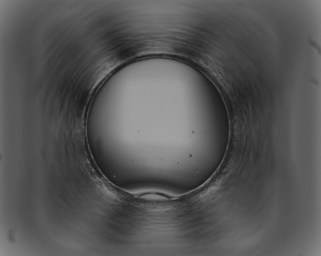 X0000095681129200801221220