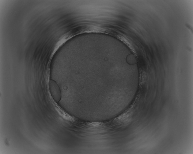 X0000095681130200801221220