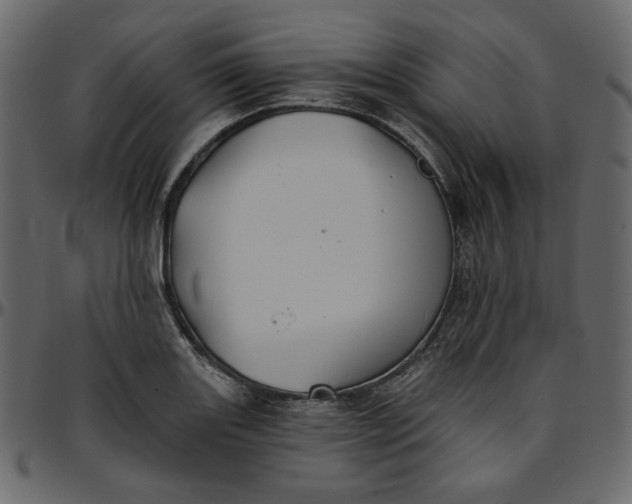 X0000095681131200801221220