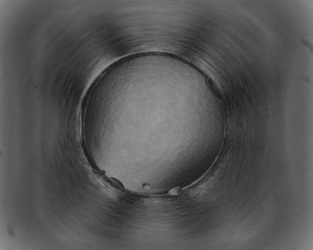 X0000095681132200801221220