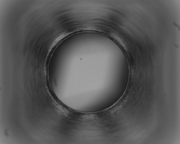 X0000095681133200801221220