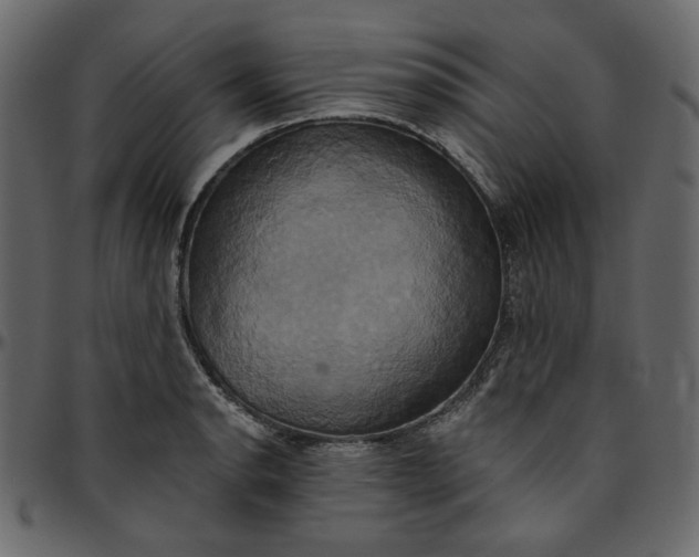 X0000095681134200801221220
