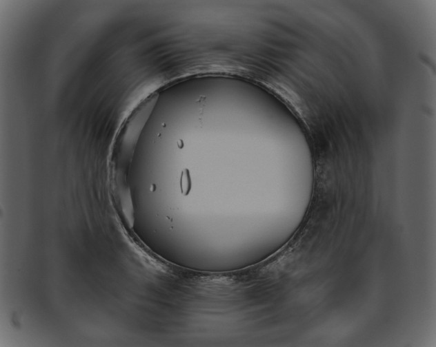 X0000095681135200801221220