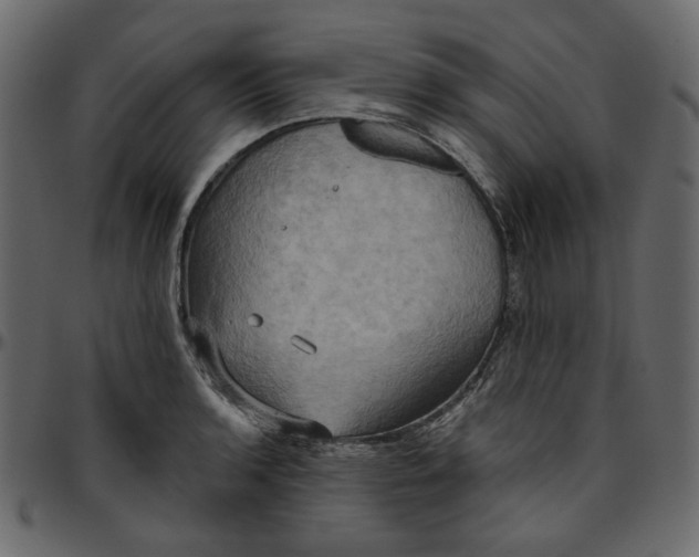 X0000095681136200801221220