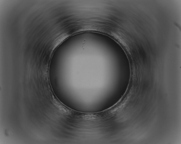 X0000095681137200801221220