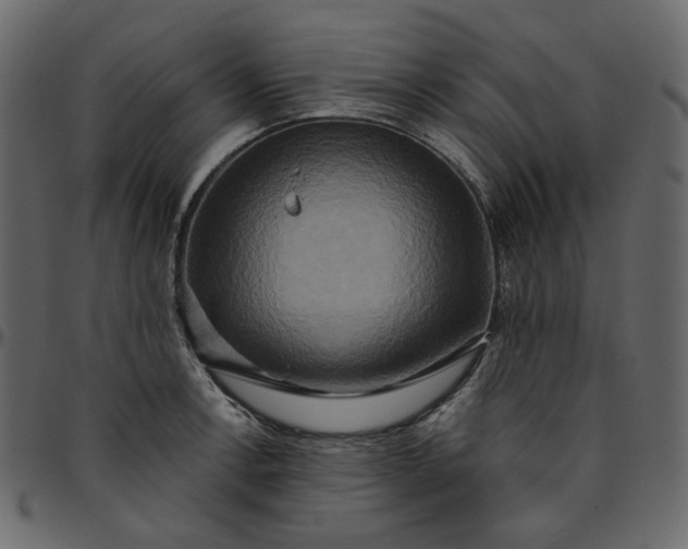 X0000095681138200801221220