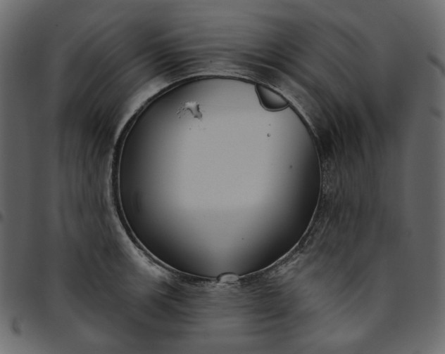 X0000095681139200801221220