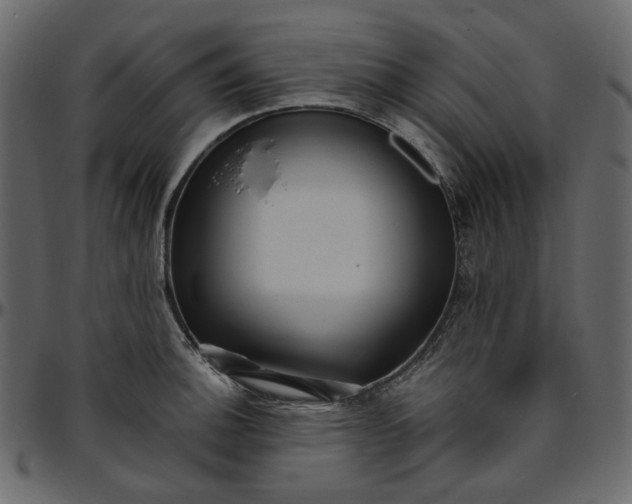 X0000095681140200801221220
