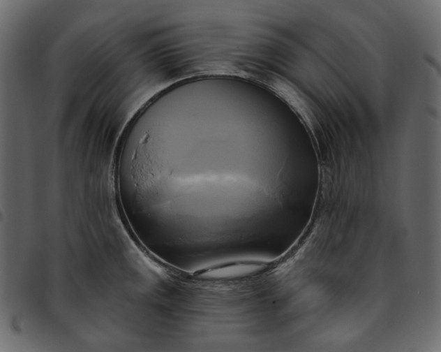 X0000095681141200801221220