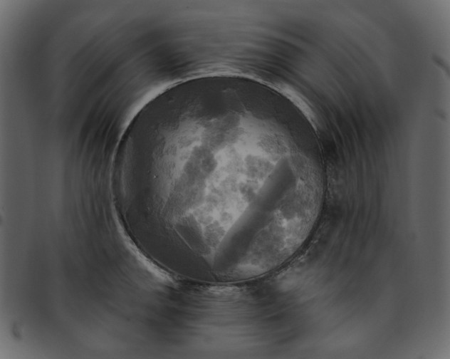 X0000095681142200801221220