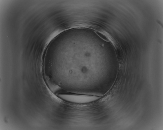 X0000095681143200801221220