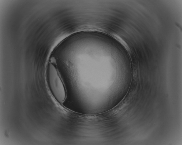 X0000095681144200801221220