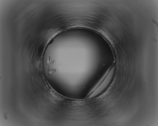 X0000095681145200801221220