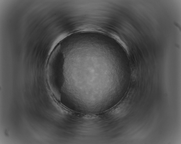 X0000095681146200801221220