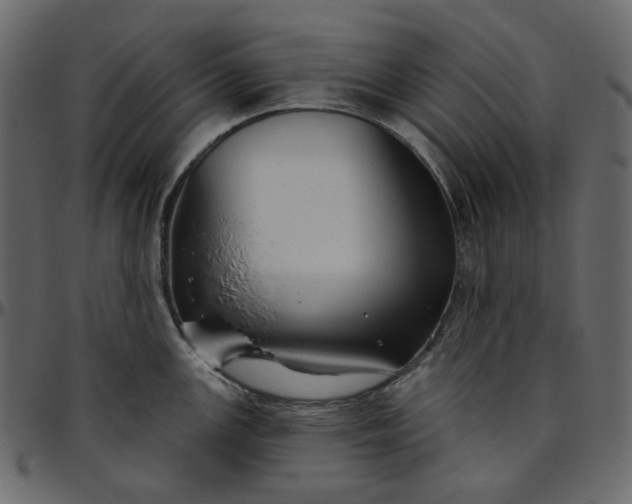X0000095681147200801221220