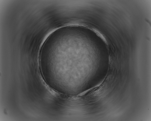 X0000095681148200801221220