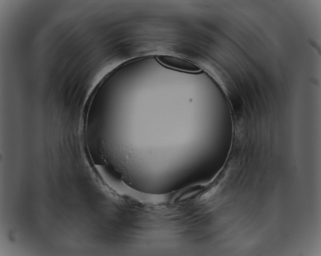 X0000095681149200801221220