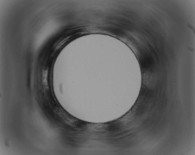X0000095681150200801221220