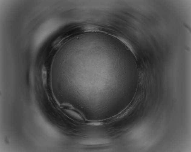 X0000095681151200801221220